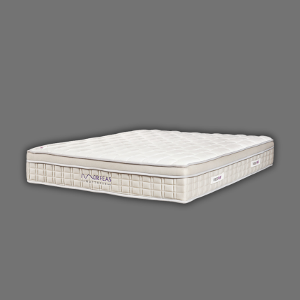 Visco Pure