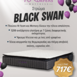 BFO Black Swan