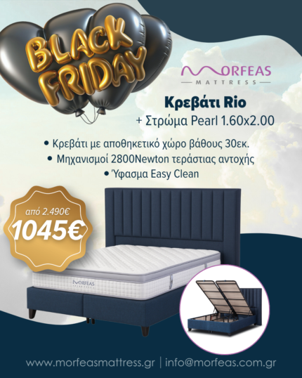 BFO Black Swan - Image 2